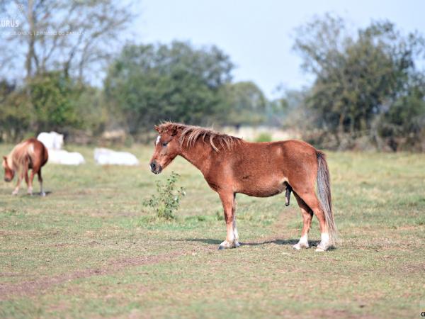 wspominamy-zlota-jesien090