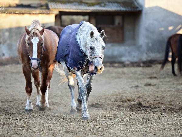 czy-tez-tesknicie180