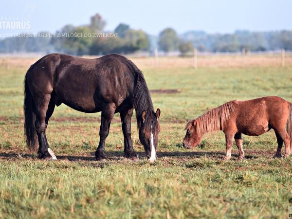 wspominamy-zlota-jesien207