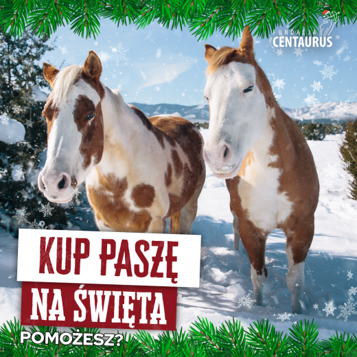 KUP-PASZE-NA-ŚWIĘTA