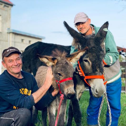 Mgiełka i Maciek