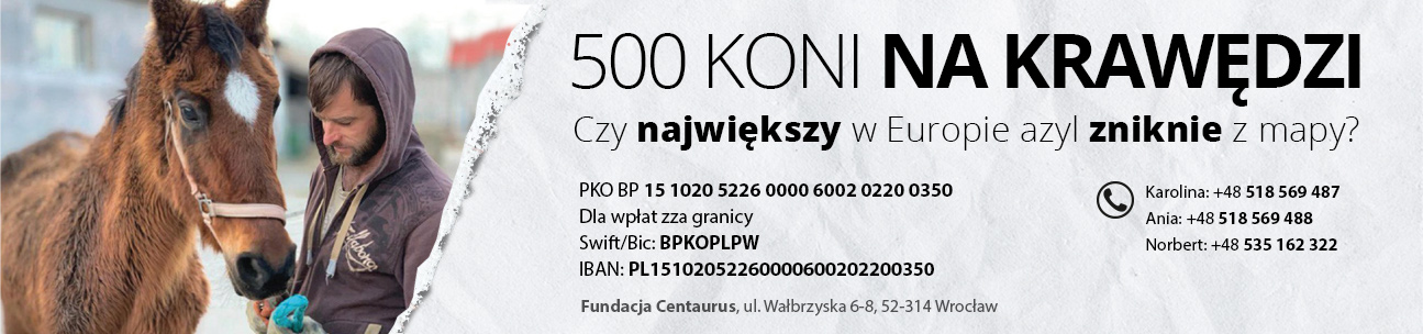 baner_500_koni.jpg